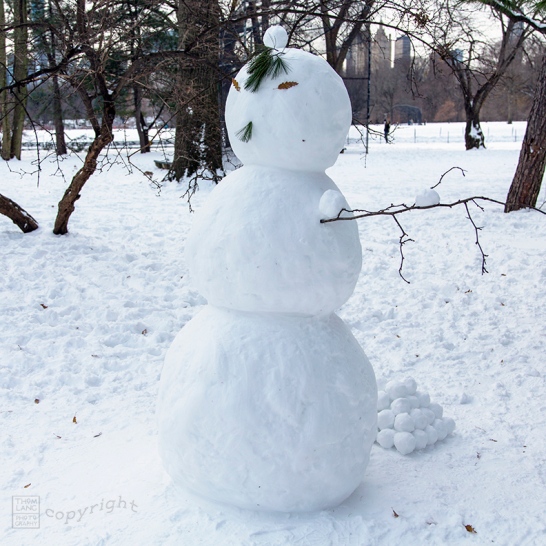 Snow Day Central Park 2020_6829-BLOG